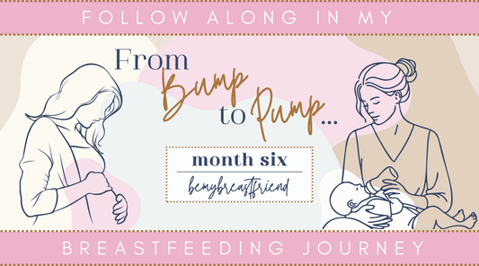 Our First Six Months Postpartum: Feeding Progression