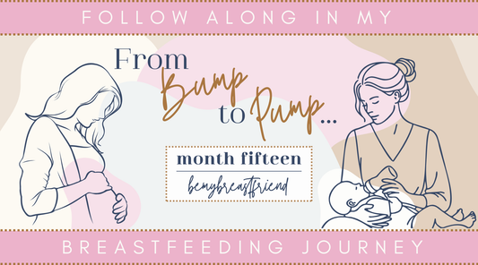 Fifteen Months Postpartum: Feeding Progression
