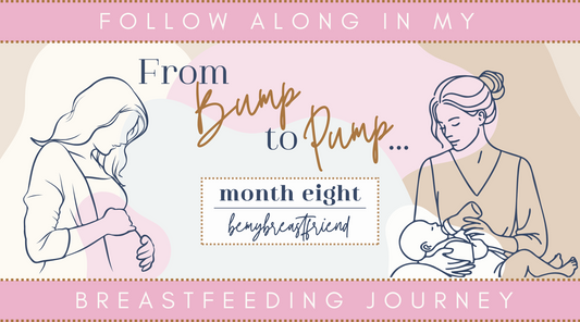 Our First Eight Months Postpartum: Feeding Progression