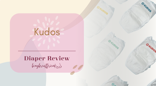 Kudos Diaper Review